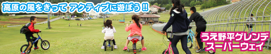 うえの平アクティビティ