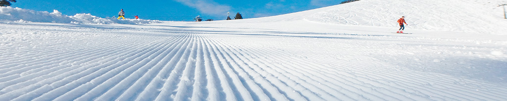 2月11日(火)までは営業します！それ以降は雪次第です…。